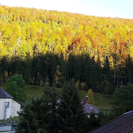 Les Tavaillons Mijoux