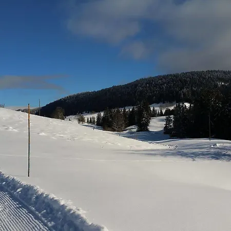 Les Tavaillons Mijoux